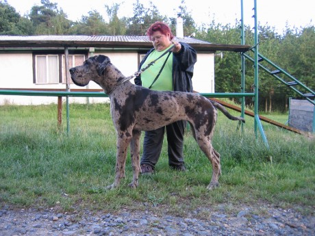 naše Saša